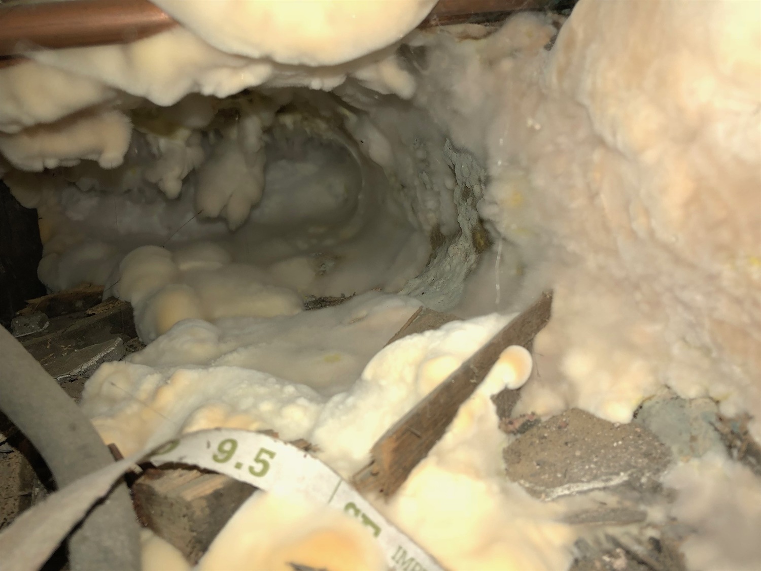 Dryrot  - Homeowner Help & Information - PCA